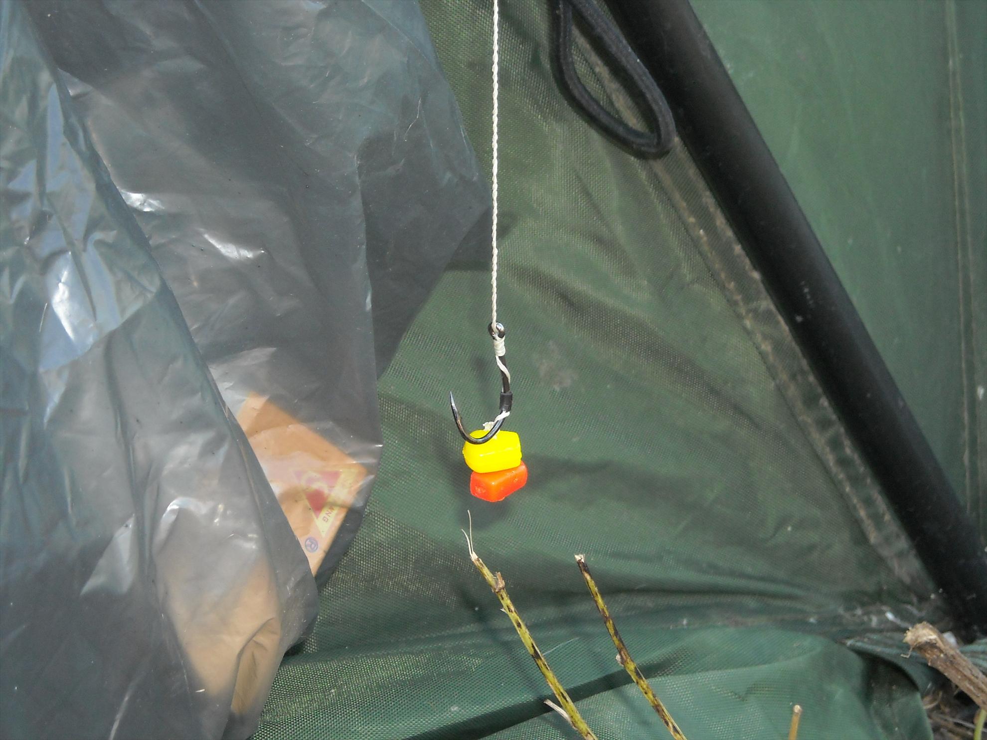 Cupa Romaniei - Hobaia 2010 - dscn6710.jpg